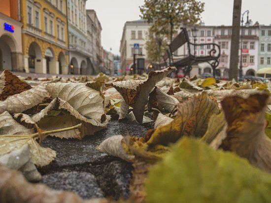 Krakonosovo namesti